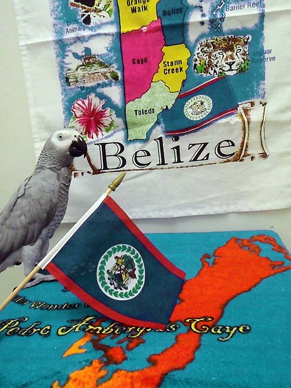Cleo loves Belize!